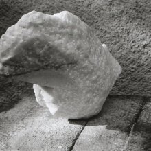 Zeedraak   
marmer   
2001