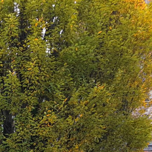 Click to view Views gallery.